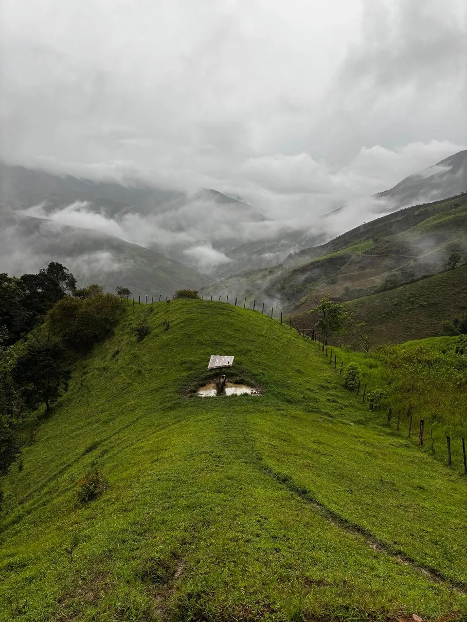 Montañas y cafetal de nuestra finca en Guaraque, Mérida
